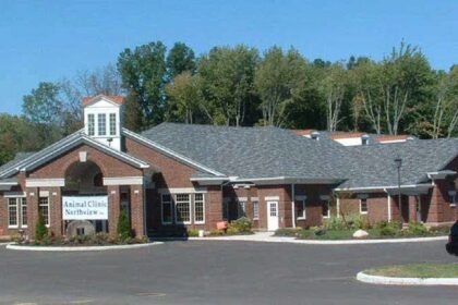 Animal Clinic Northview