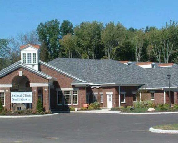 Animal Clinic Northview
