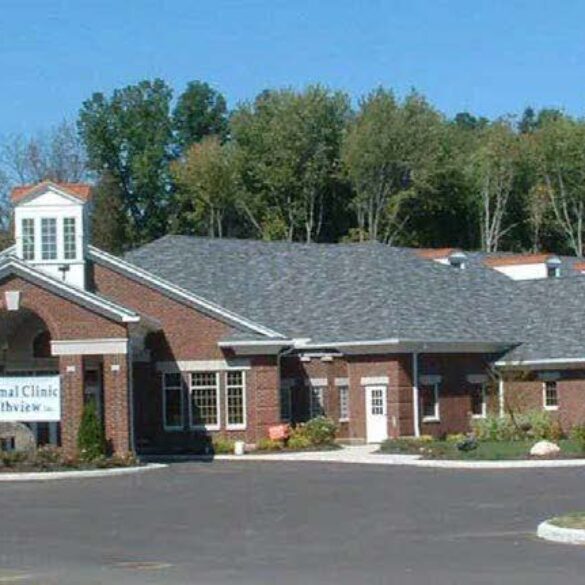 Animal Clinic Northview