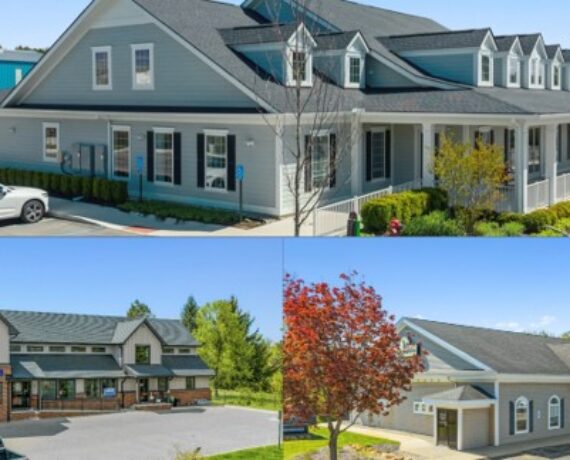 Michigan Veterinary Portfolio