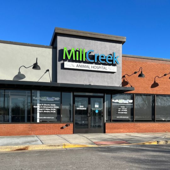 Mill Creek Animal Hospital