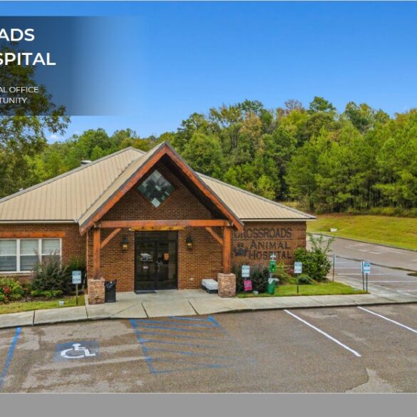 Crossroads Animal Hospital