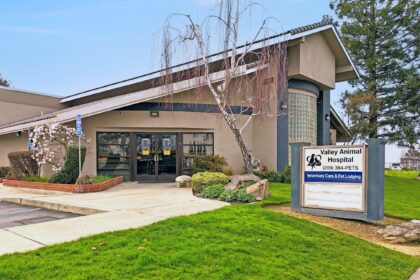 Valley Animal Hospital