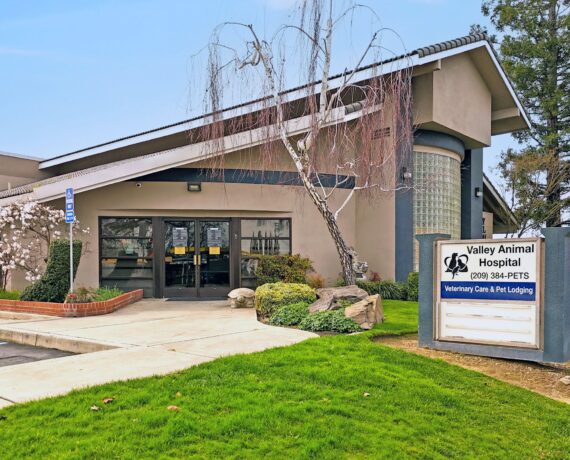 Valley Animal Hospital