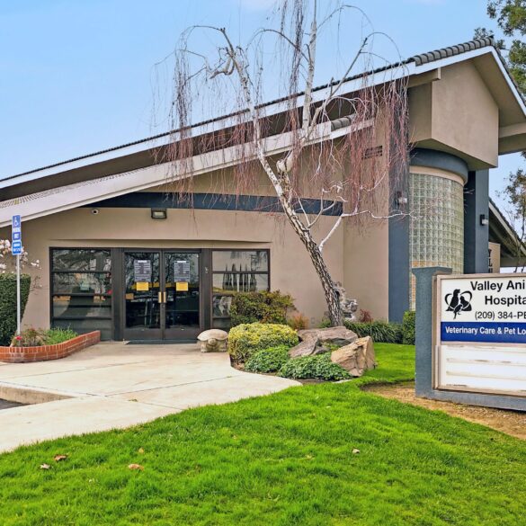 Valley Animal Hospital